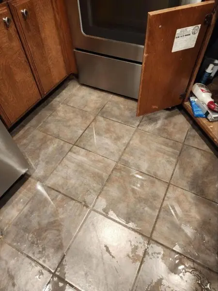 What to Do After Water Damage