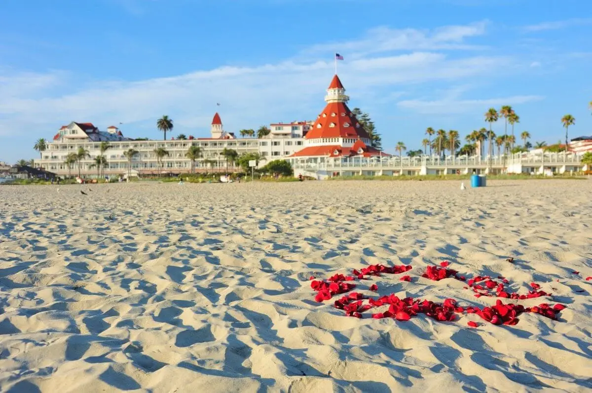 rose petals on beach in Coronado, CA