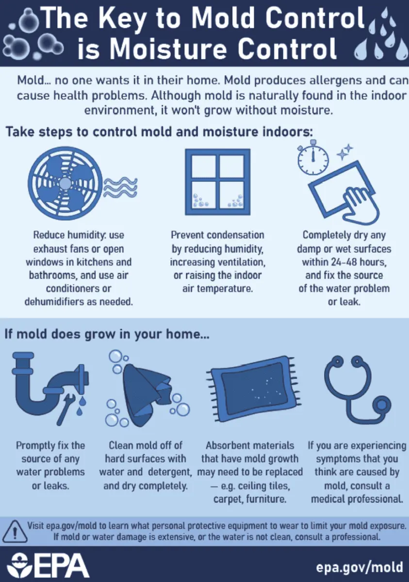 mold