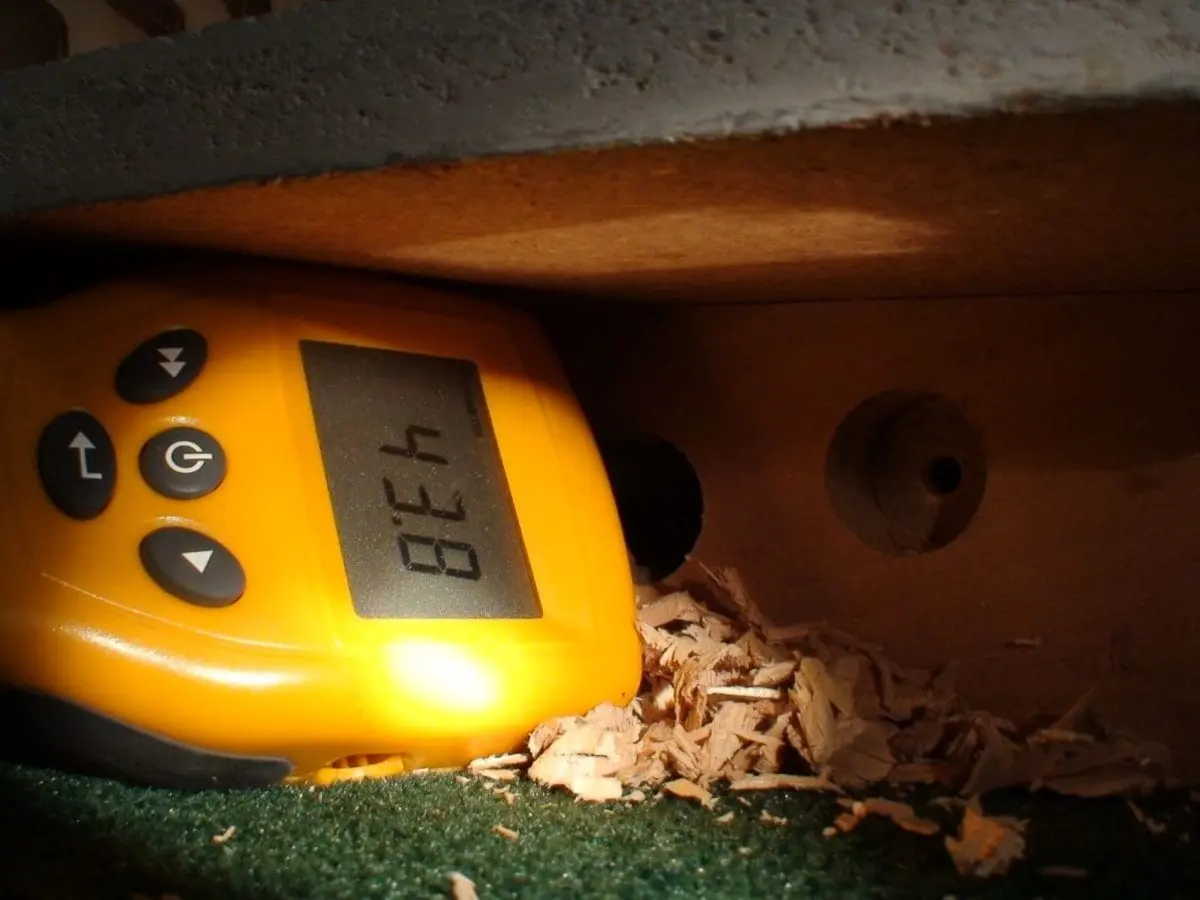 How to Treat Hardwood Floors for Mold After Water Damage