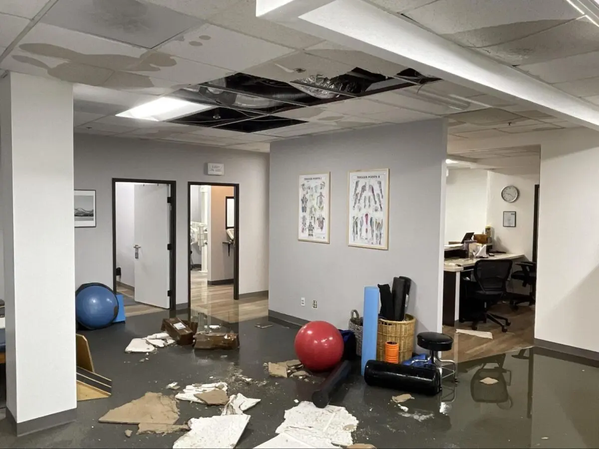 Sewage Damage Impacts