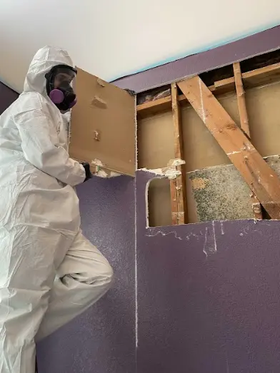 Biohazard and Trauma Cleanup Services