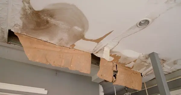 Mold Growth Causes