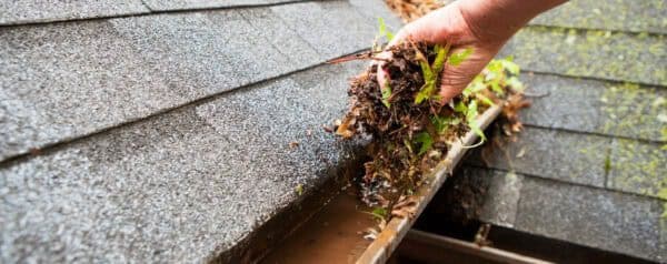 8 Tips To Protect Your Home from Water Damage During Heavy Rainfall in San Diego