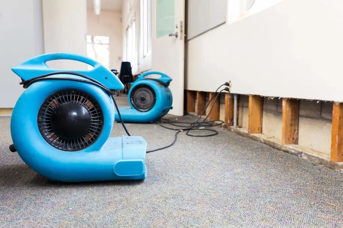 How to Treat Hardwood Floors for Mold After Water Damage
