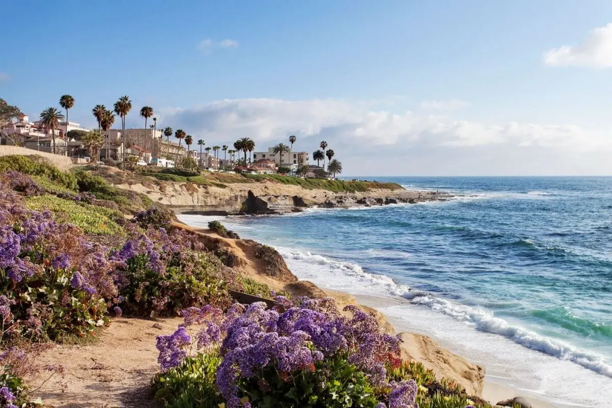 flood restoration and flood cleanup services in la jolla, ca
