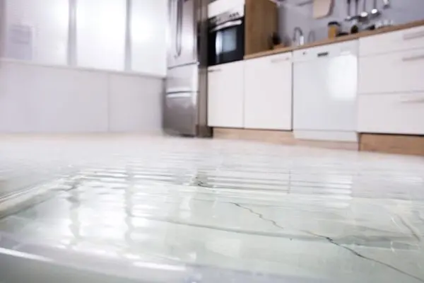 How to Sanitize After a Flood