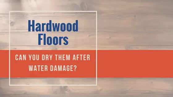 Dry hardwood floors