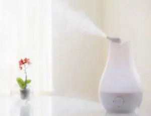 humidifier