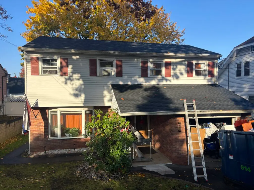 shingles roof grey siding ladder