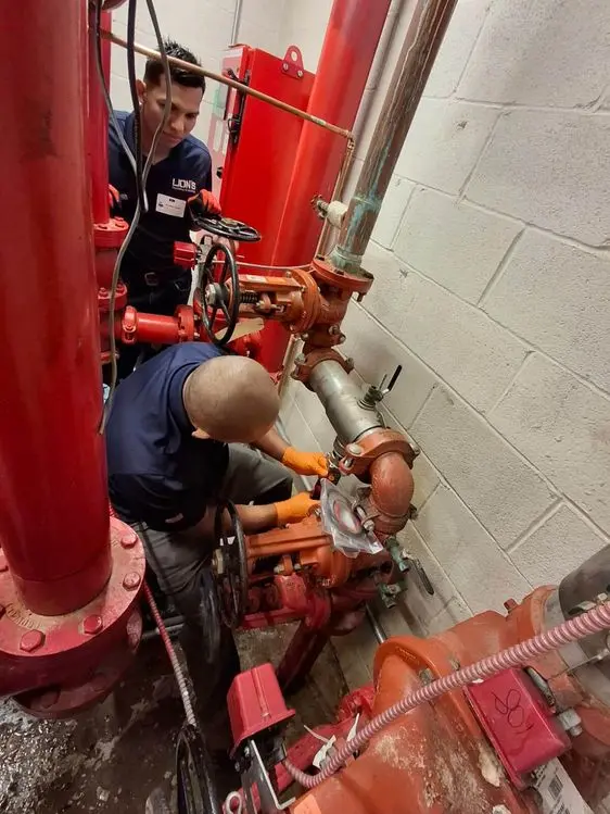 Backflow imagen