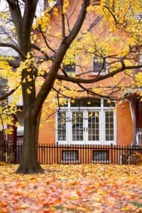 Autumn scene featuring a house with large windows surrounded by a vibrant yellow and orange tree, illustrating seasonal changes and the importance of preparing homes for winter plumbing maintenance.