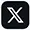 X Icon