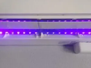 UV-Light