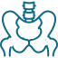 pelvis
