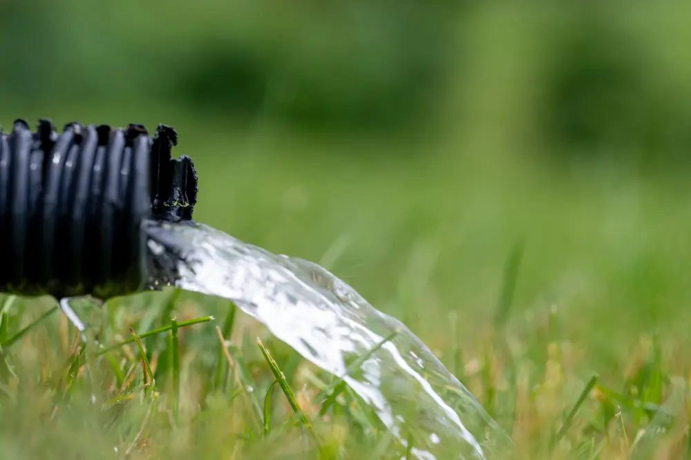 Close-up of water flowing from a black hose on green grass, highlighting plumbing services for sump pump installation.
