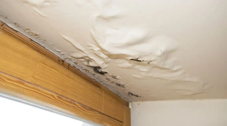 finding water leaks