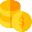 Financing Options Icon