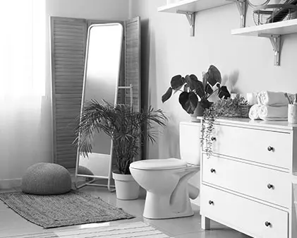 Bathroom remodeling