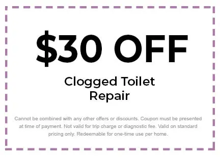 Discount on Clogged Toilet Repair