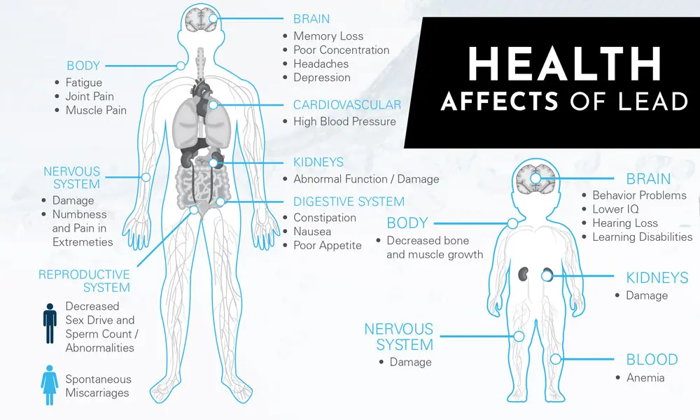 Infographic illustrating the health effects of lead exposure, detailing impacts on the brain, cardiovascular system, kidneys, nervous system, digestive system, reproductive system, and body, with labeled sections highlighting symptoms like fatigue, joint pain, memory loss, and behavior problems.