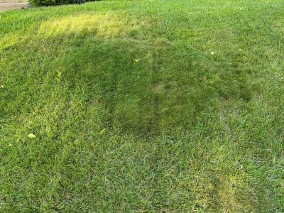 home yard