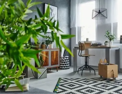 air-cleaning plants