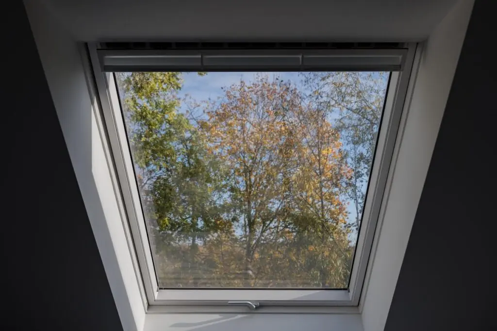 a skylight with trees outside