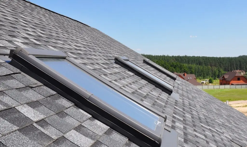 Skylights on black roof