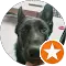ian roofing review