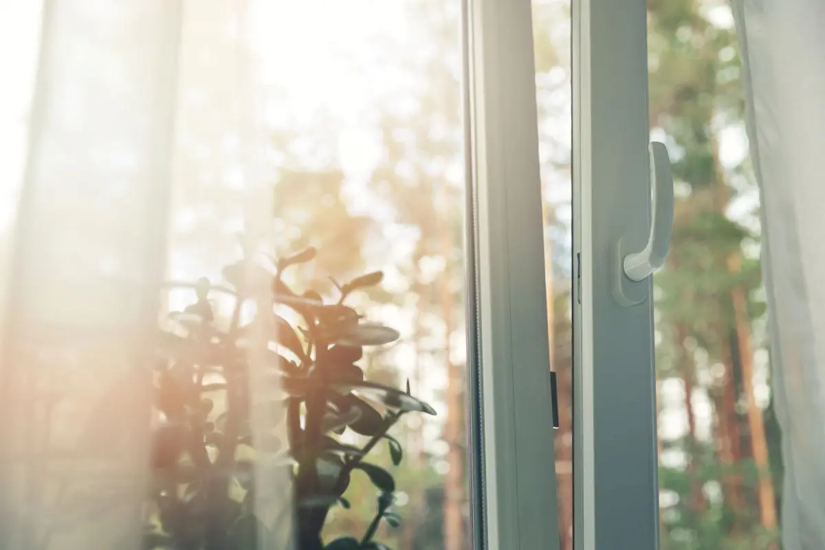 close up of an open window and sheer curtains