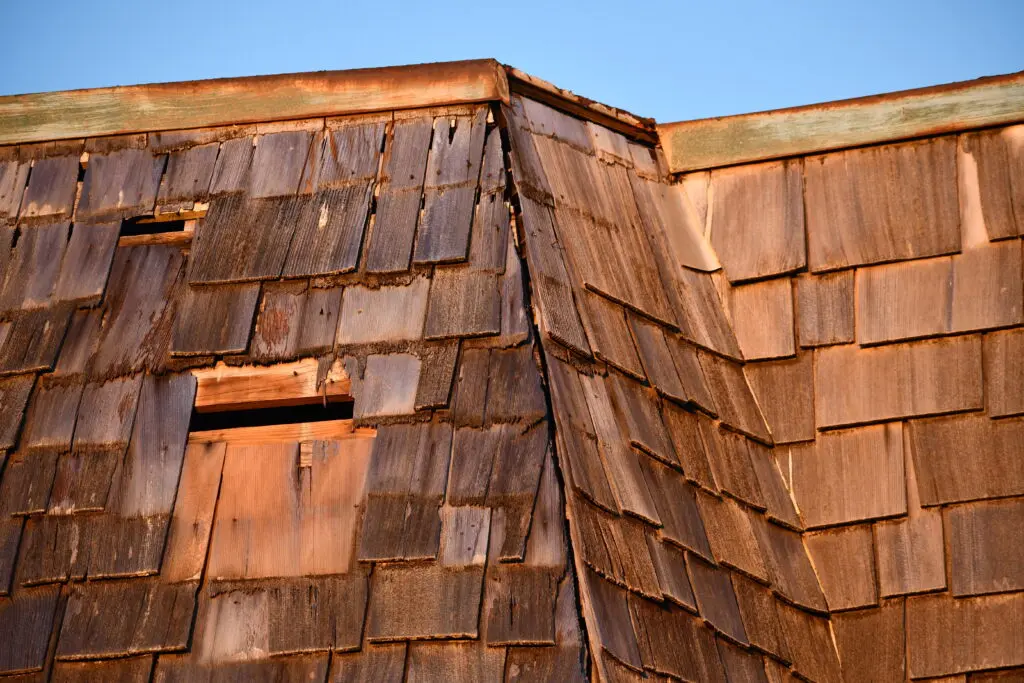 several holes in cedar plank siding