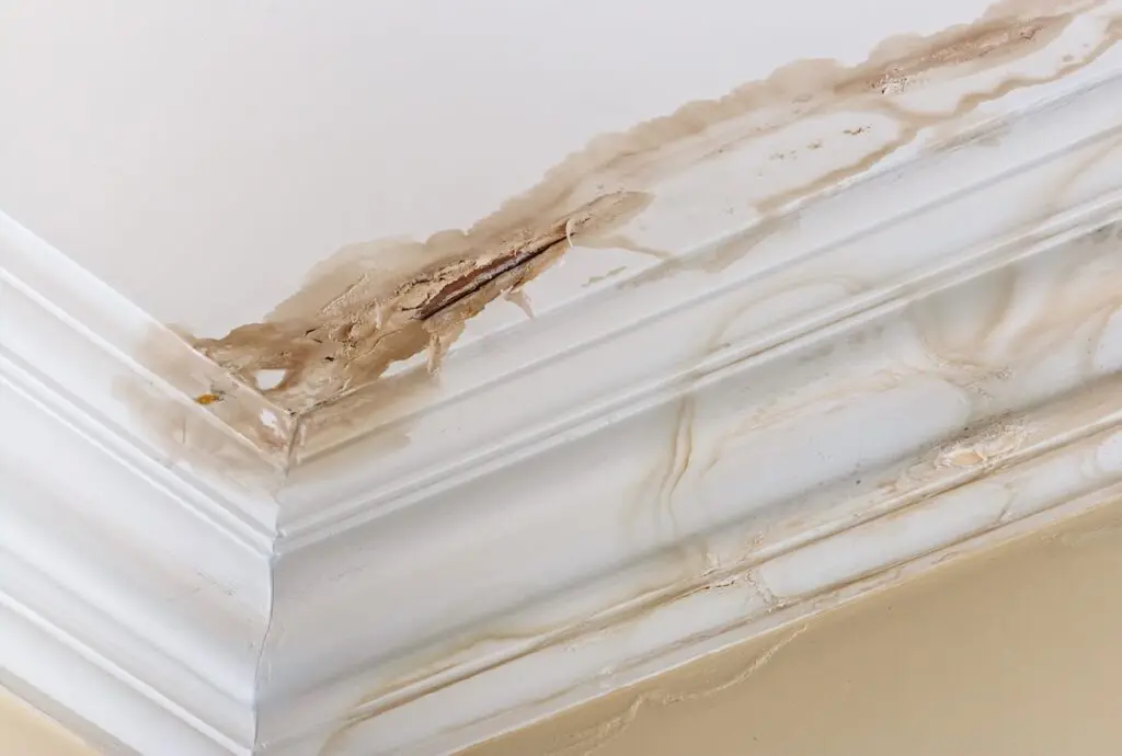 Peeling paint on an interior ceiling a result of water damage caused by a leak