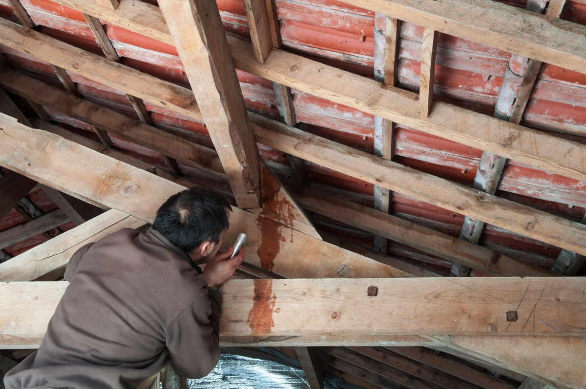 attic leak