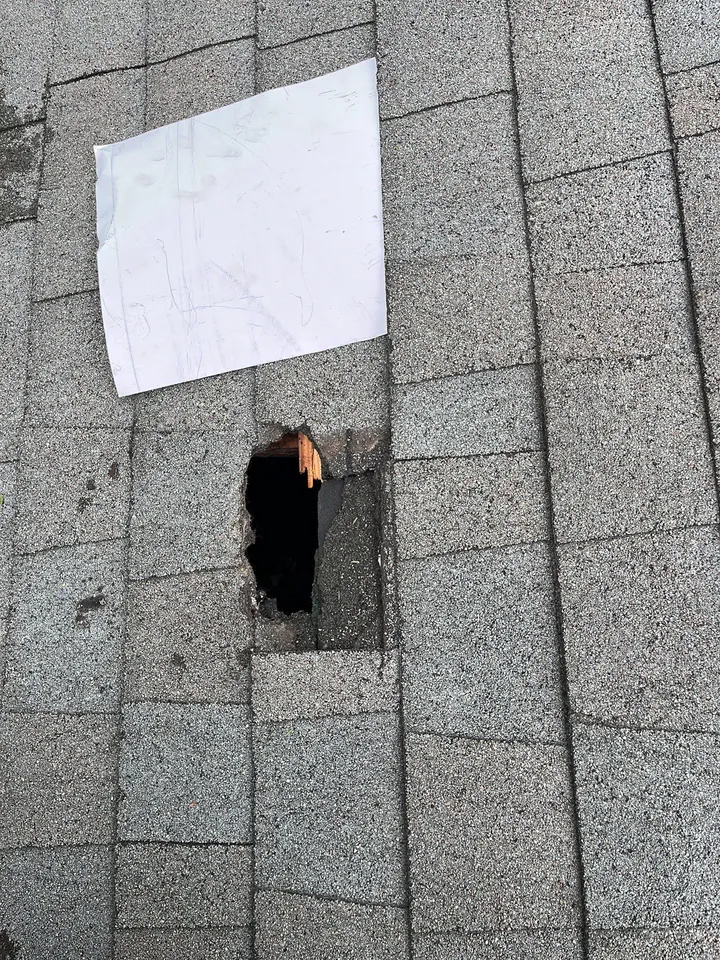 hole in the roof