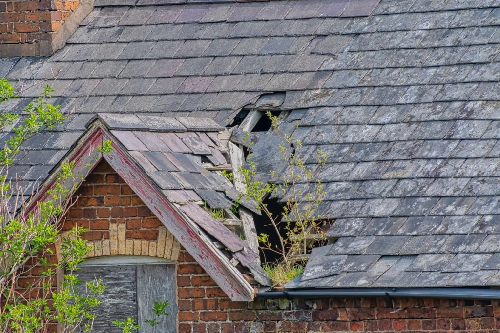 aged and damaged slate roofing tiles