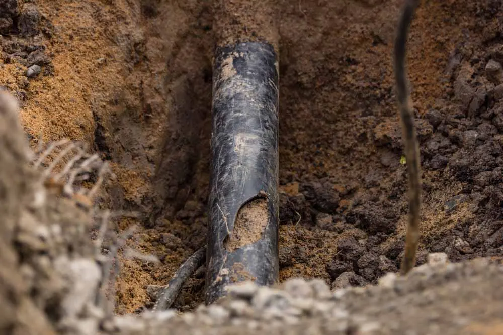 damaged sewer lines