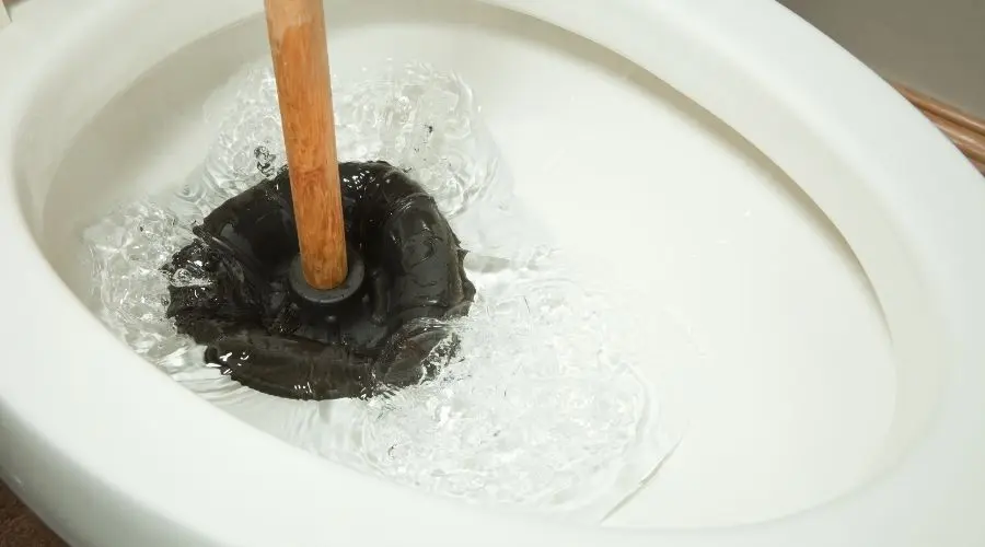 toilet