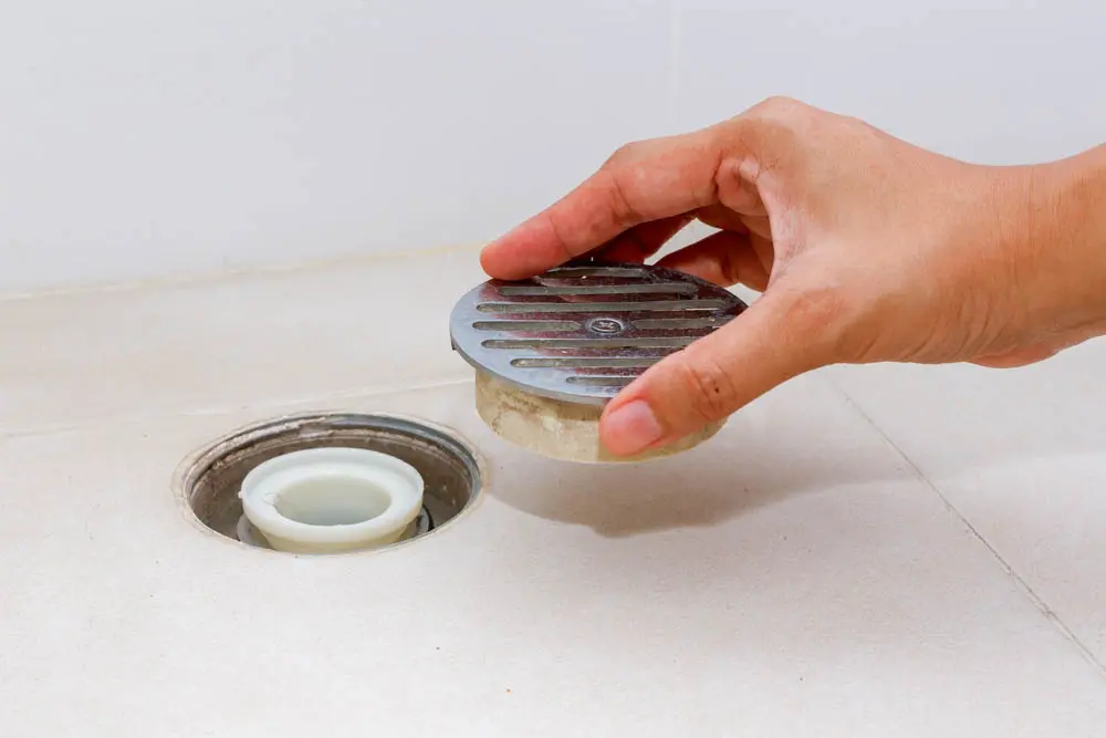 a drain screen