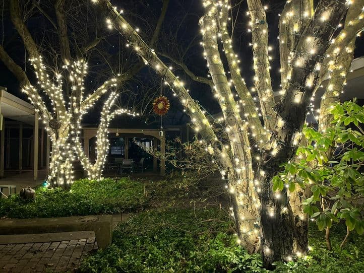 Christmas Light Installation service in Oakland County MI