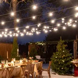 Professional-Grade LED String Lights