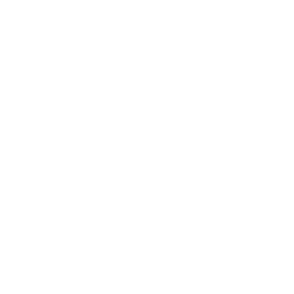 Icon Professionals