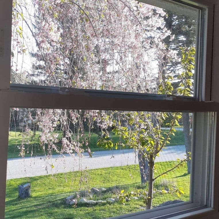 Window Cleaning Lake Orion, MI