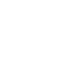 Icon Safety
