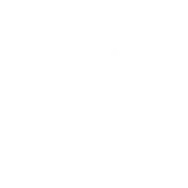 Phone App
