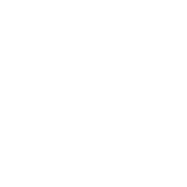 Icon Award