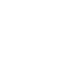 Icon Protection