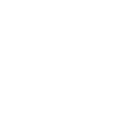 Icon Pressure Washer