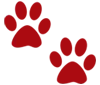 Step Pet Icon