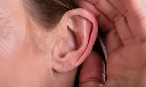 ear